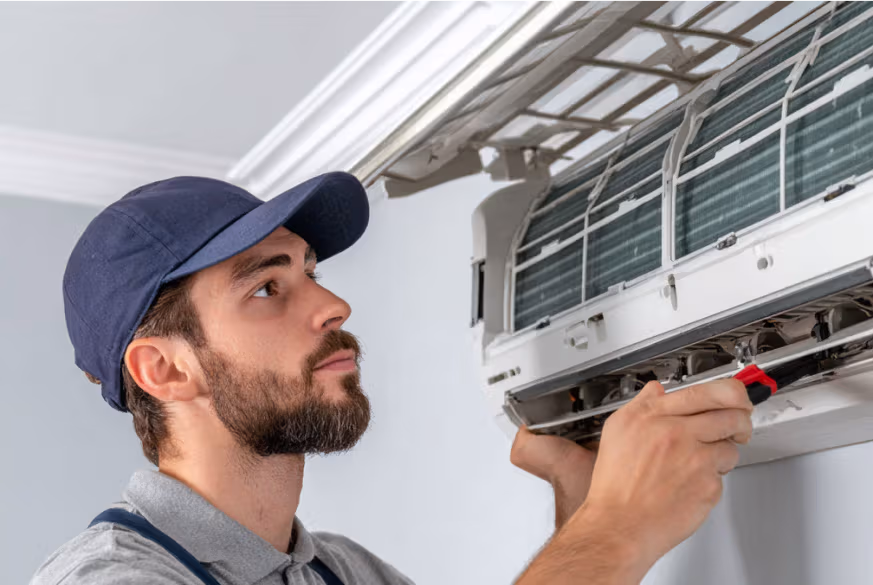 Roční pravidelný servis